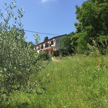 Apartment Cimbora, Salara Farmhouse Koper Exteriör bild
