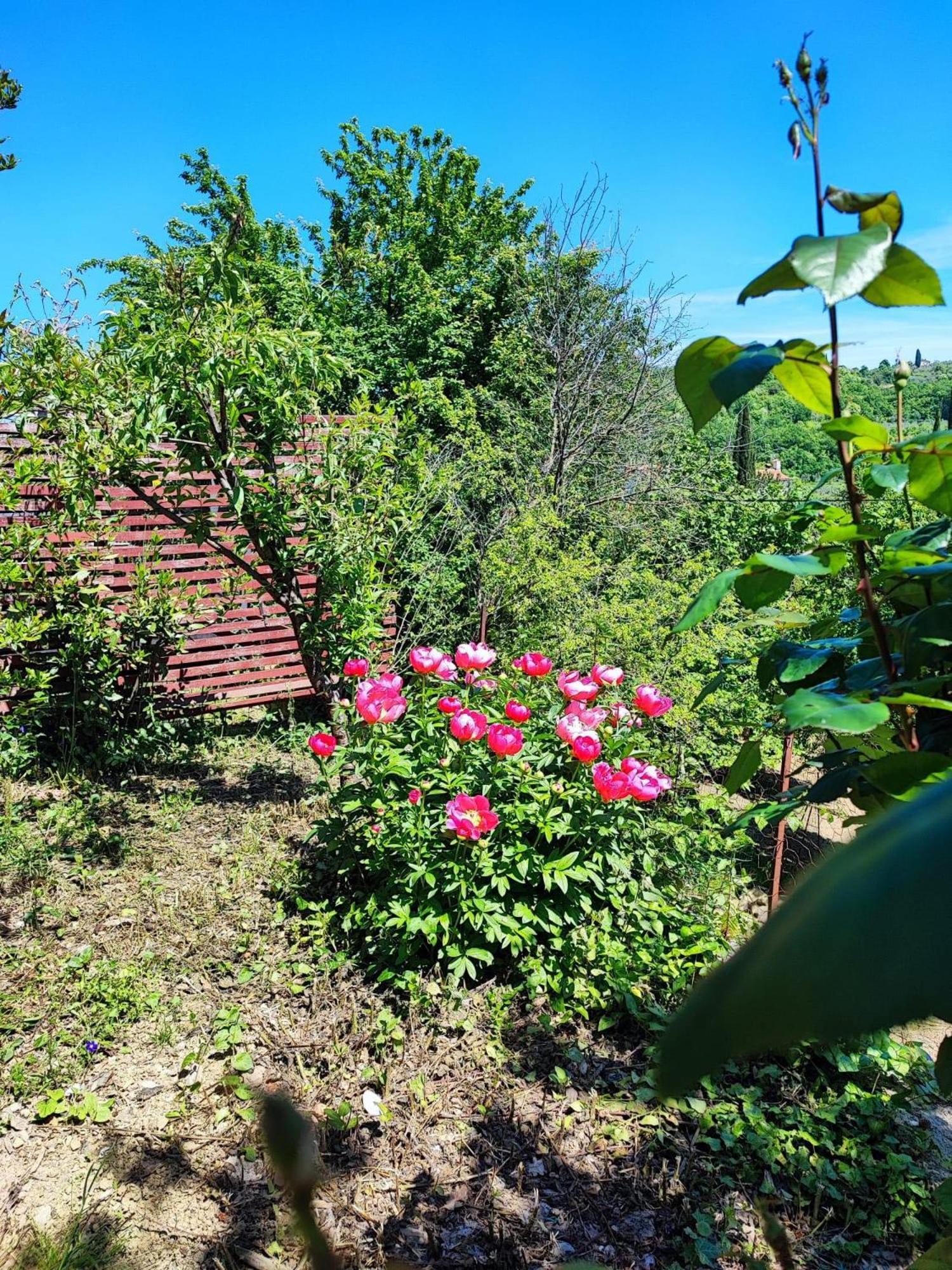 Apartment Cimbora, Salara Farmhouse Koper Exteriör bild