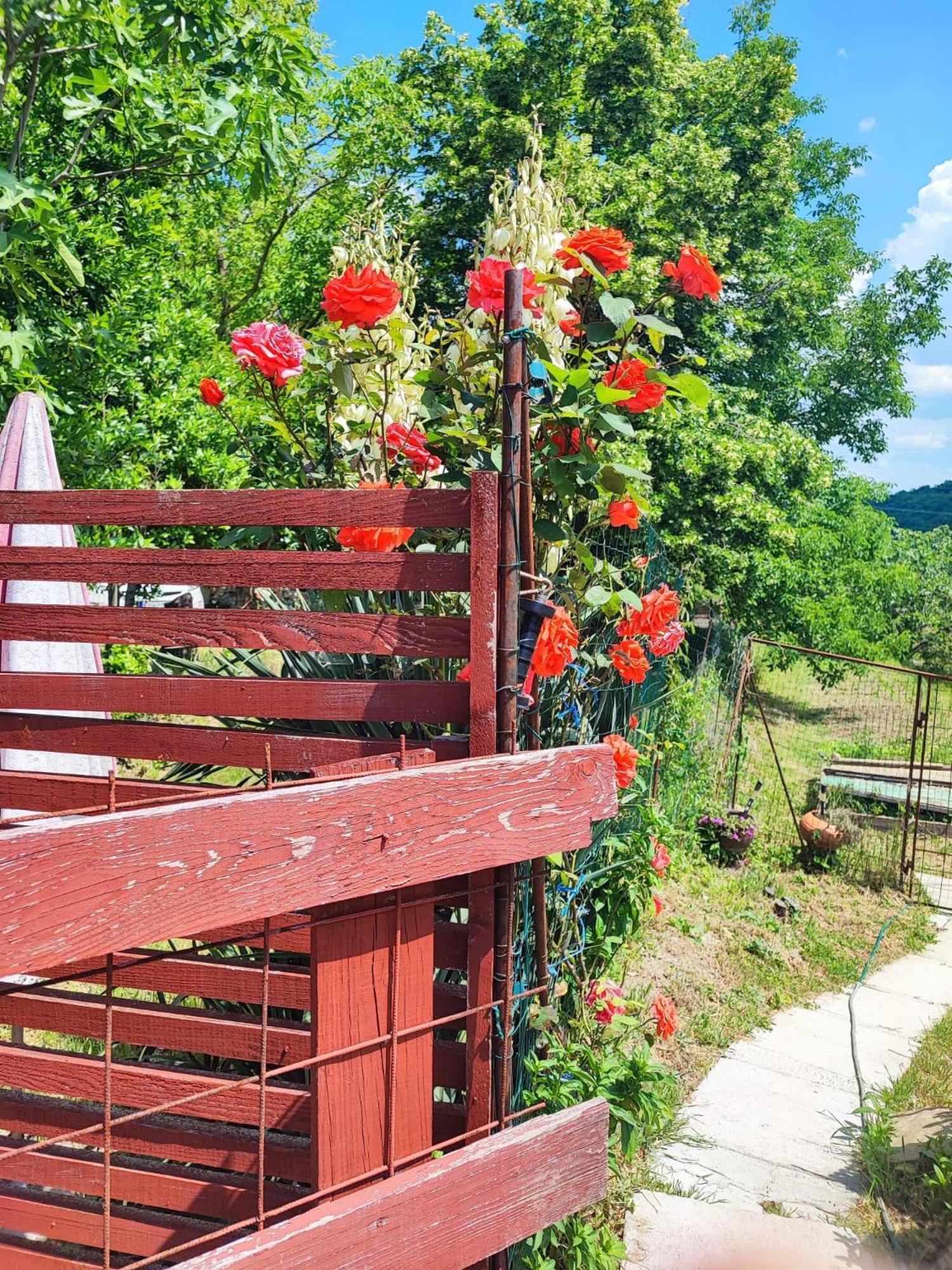 Apartment Cimbora, Salara Farmhouse Koper Exteriör bild